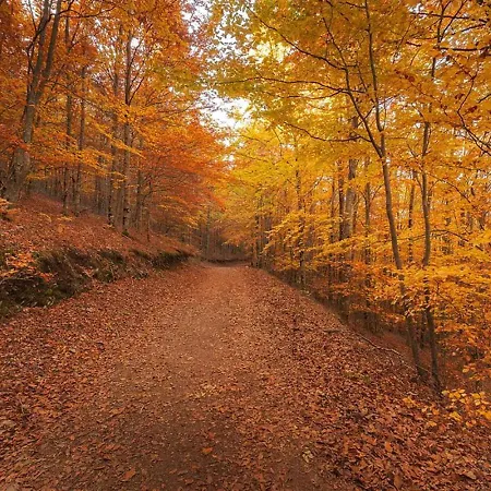 Hotel Casa Penhas Douradas - Burel Expedition 4*