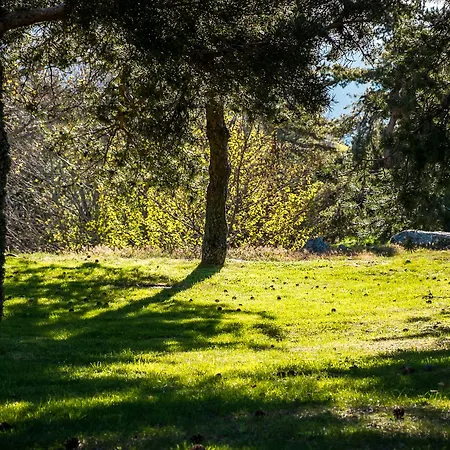 Casa Penhas Douradas - Burel Expedition Manteigas