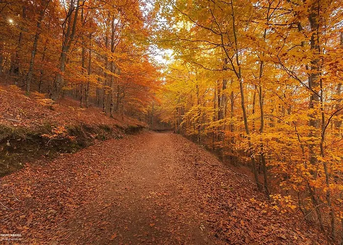 Hotel Casa Penhas Douradas - Burel Expedition 4*